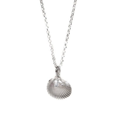 Sterling Silver Mini Shell Necklace | SilverBoo Jewellery