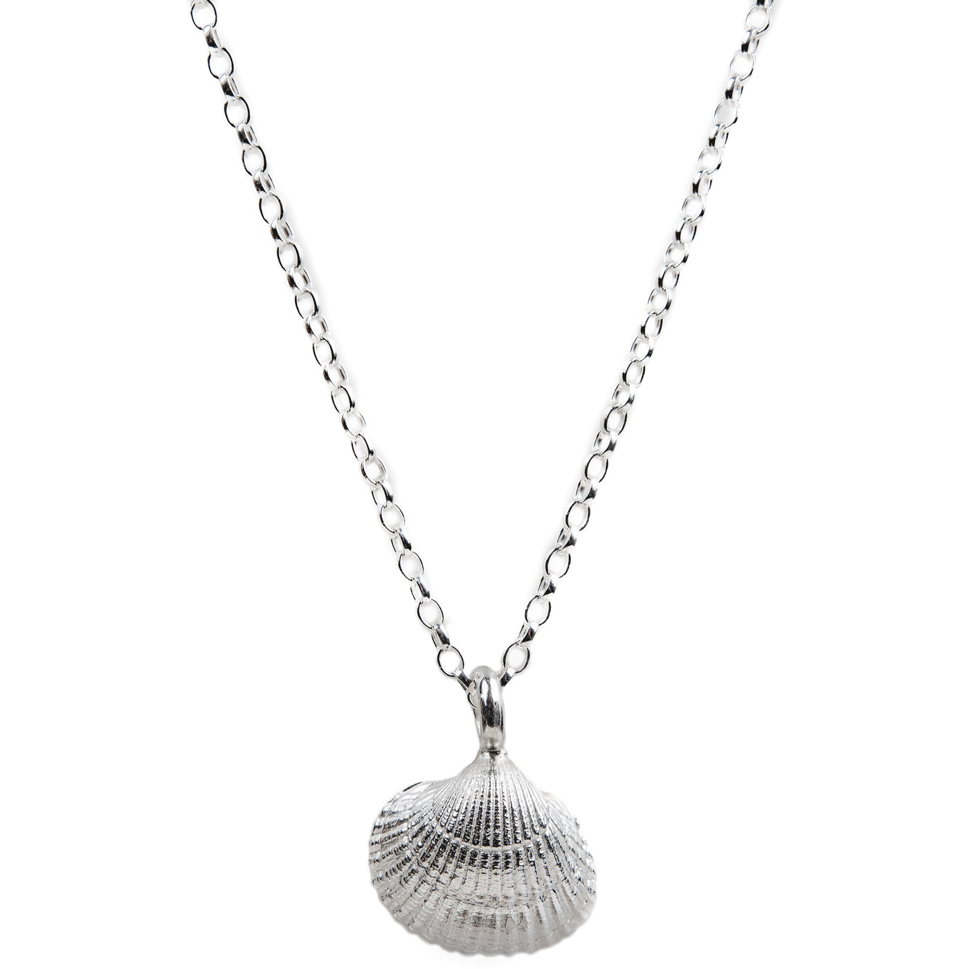 Silver Midi Shell Statement Necklace | SilverBoo Jewellery